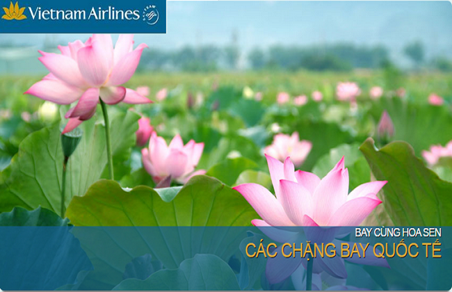 khuyen mai ve may bay vietnam airlines