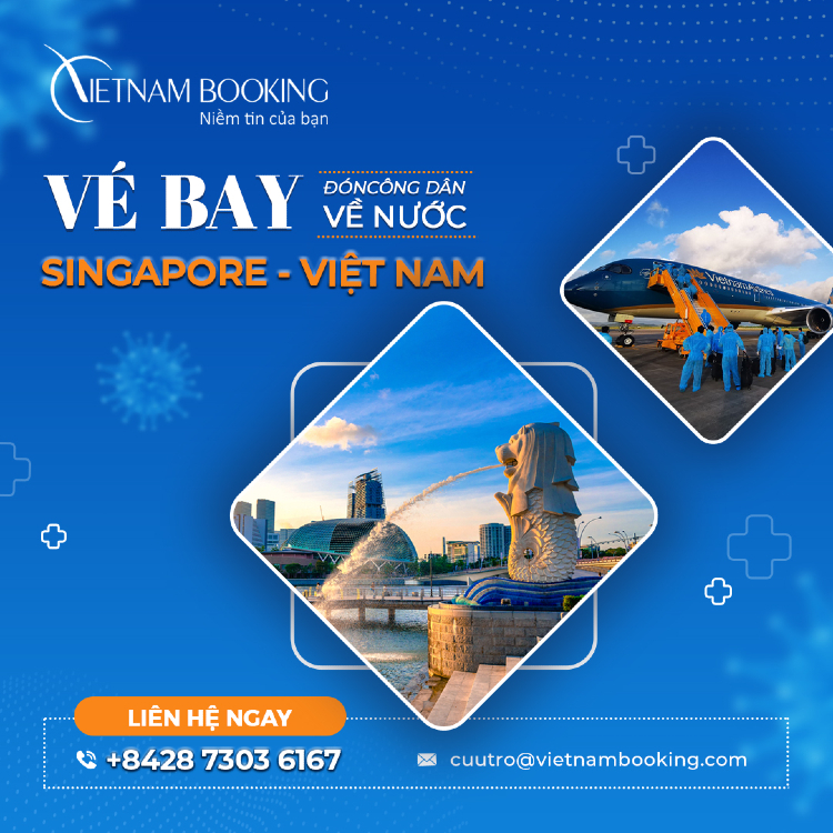 vé máy bay từ Singapore về Việt Nam