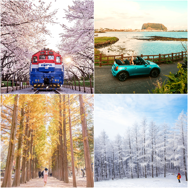 mùa đẹp nhất ở Hàn Quốc