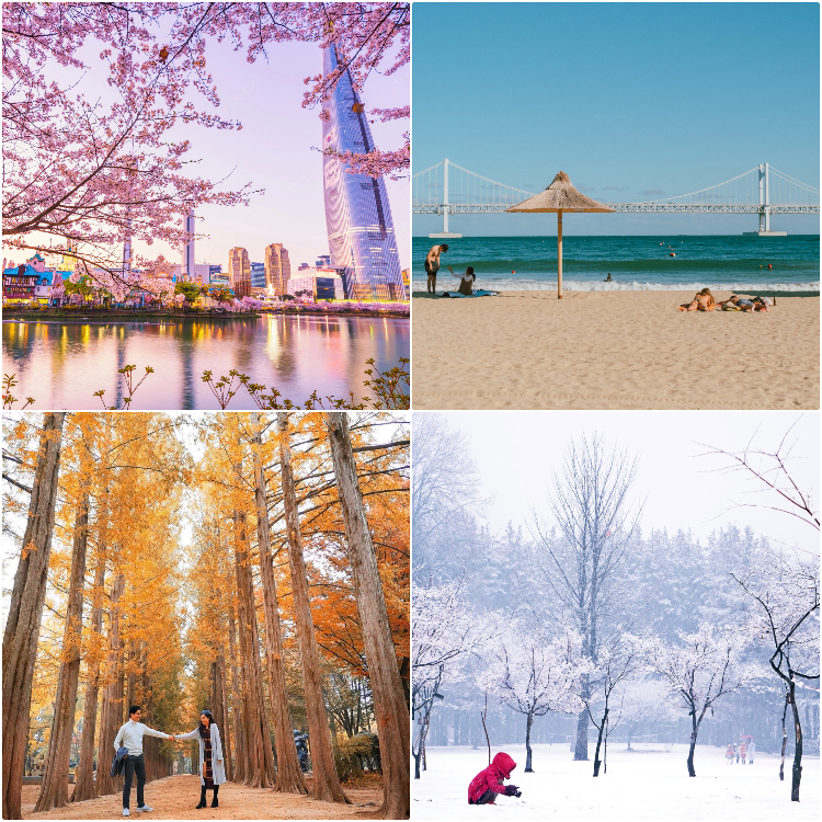 các mùa du lịch Hàn Quốc