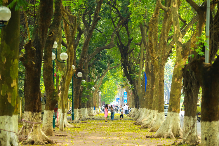 phố Phan Đình Phùng Hà Nội