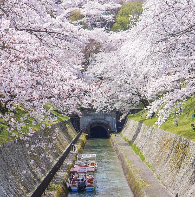 du lịch Nhật Bản tháng 4