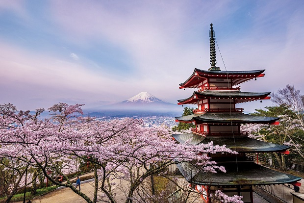 Du lịch Nhật Bản tháng 4, săn vé sớm nhận ngay vé giá rẻ