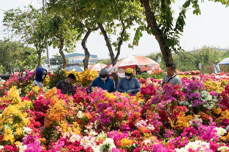 chợ hoa Tết Sài Gòn